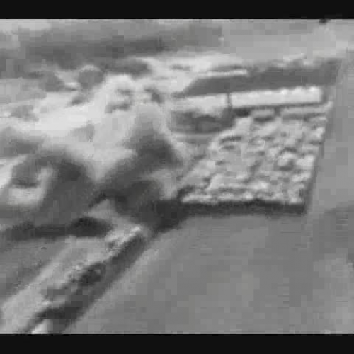 EDIT 202 Sample Video