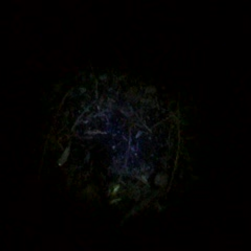 Shoshone Base Camp Song