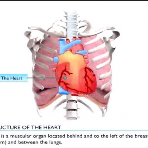 Edit 202 Sample Video