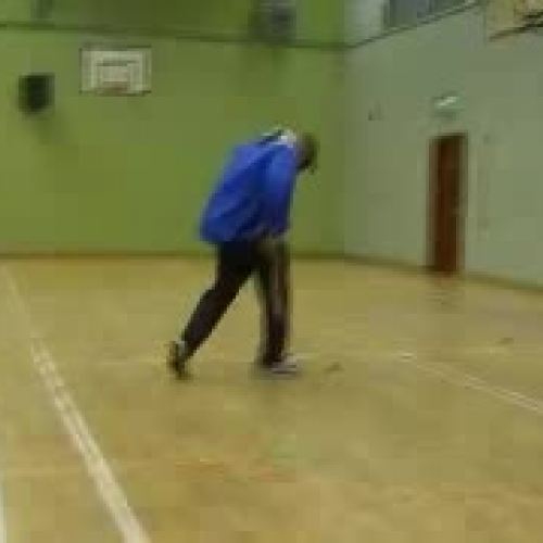 irish school of excellence