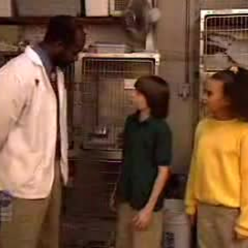 Dogs and the Water Cyle