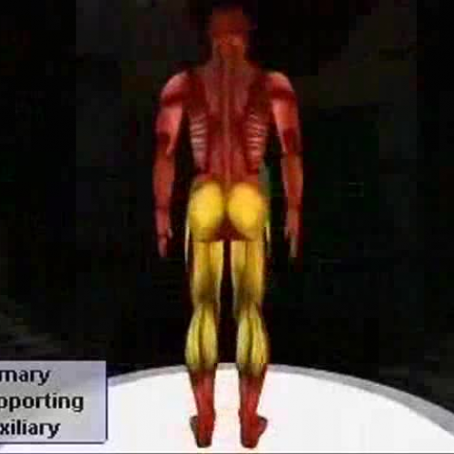 EDIT 202 Sample Video