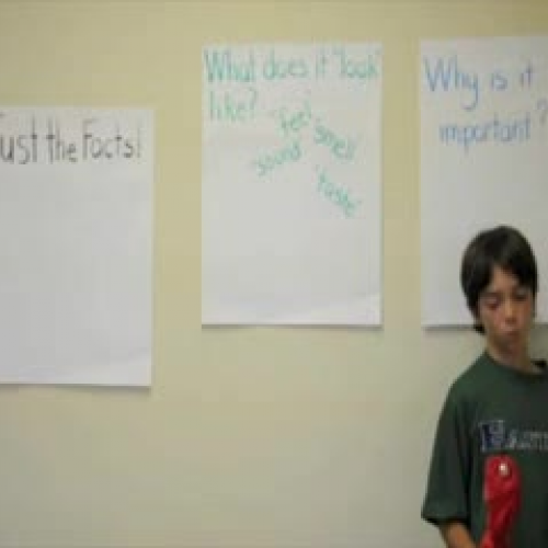 &quot;Grab Bag&quot; Expository Writing Lesso