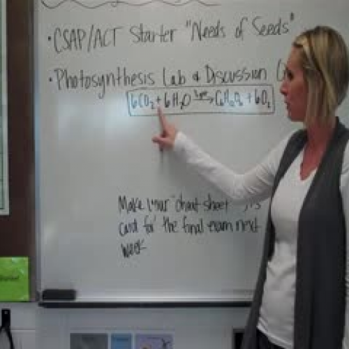 The Rate of Photosynthesis