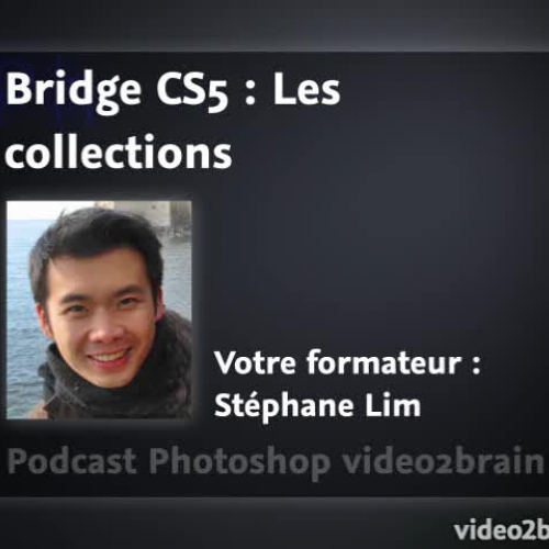 Bridge CS5 et Camera Raw 6 : Les collections
