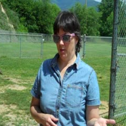 physical &amp; chemical changes