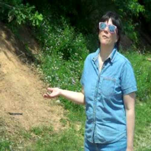 Physical &amp; chemical changes