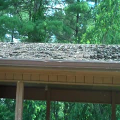 physcial &amp; chemical changes