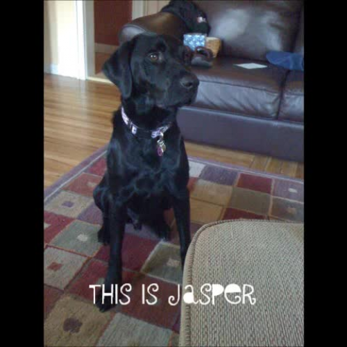 Jasper's first playdate