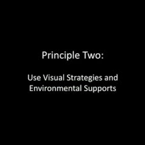 Principle 2: Use Visual Strategies and Enviro