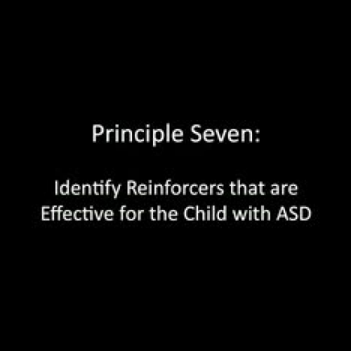 Principle 7: Identify Reinforcers that are Ef