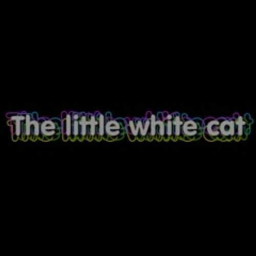 The little white cat