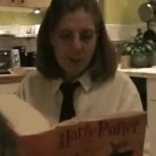 Professor P: Harry Potter