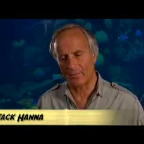 Jack hanna Talks About His First job