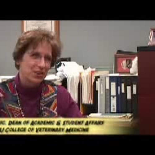 Student Video: Veterinary Medicine