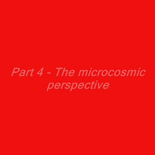 The Microcosmic Perspective