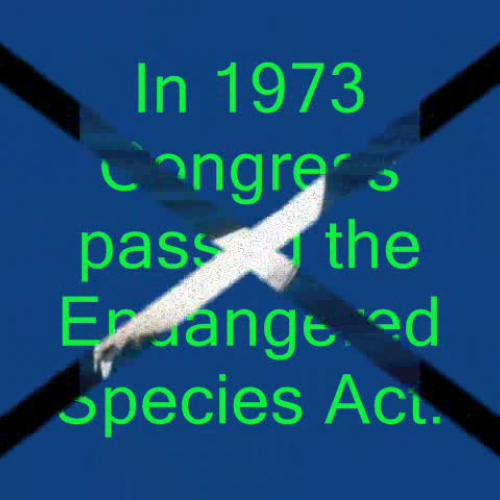 Endangered Species Act