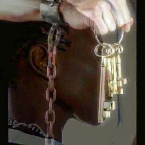 Wienckowski UCF Vocabulary Digital Story RED4