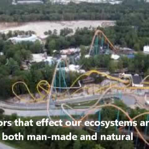 Factors that Affect our Ecosystems