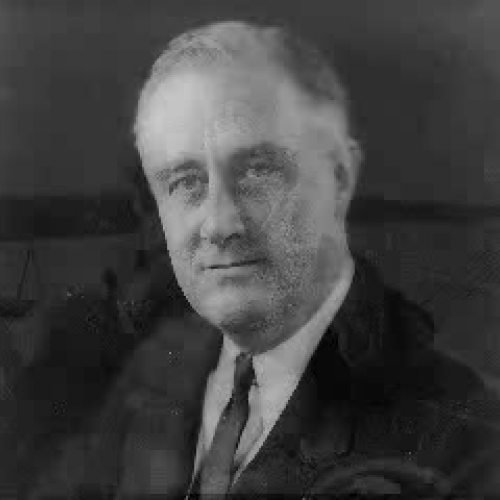 FDR The New Deal 1930s