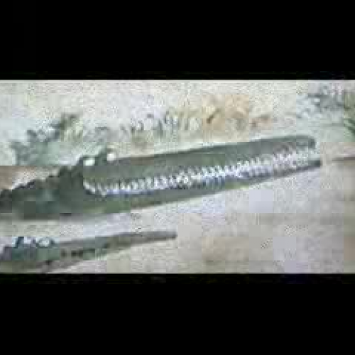 The enormous crocodile