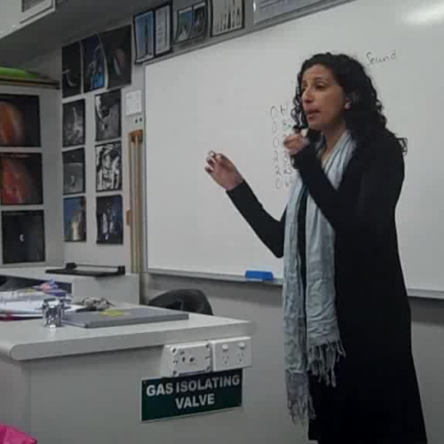 EHS Peer Observation