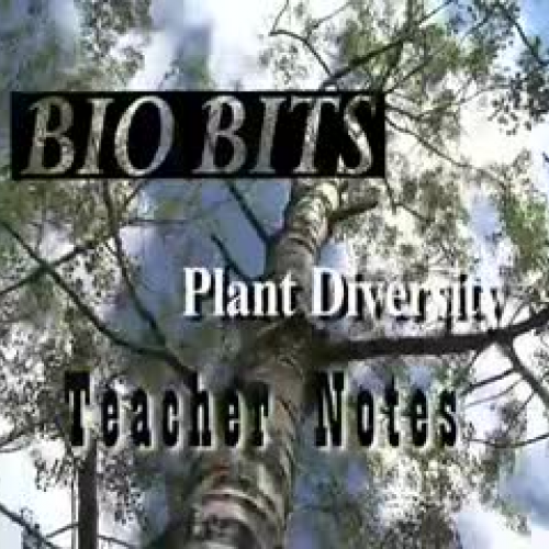 Plant Diversity – TEACHER NOTES