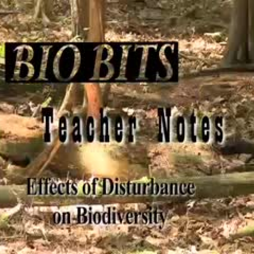 Effects of Disturbance on Biodiversity – TEAC