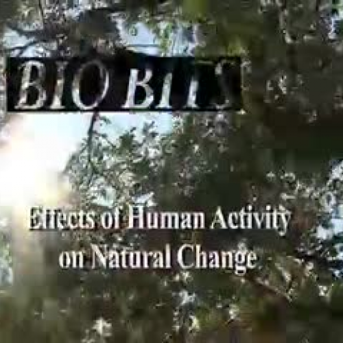 Effects of Human Activity on Natural Change