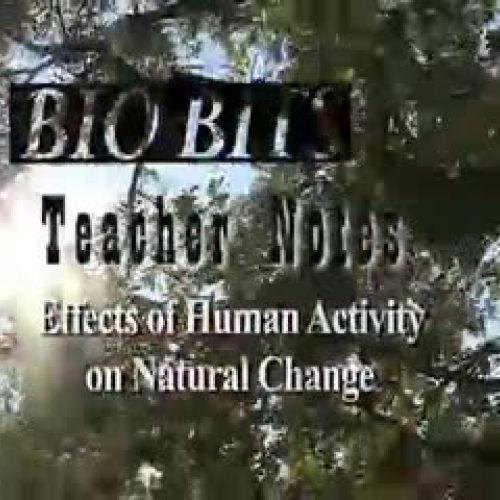 Effects of Human Activity on Natural Change –