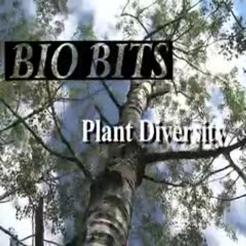 Plant Diversity