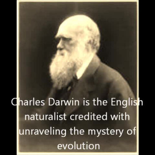 Darwin Video