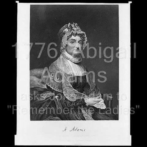 Woman Suffrage: A History in Pictures