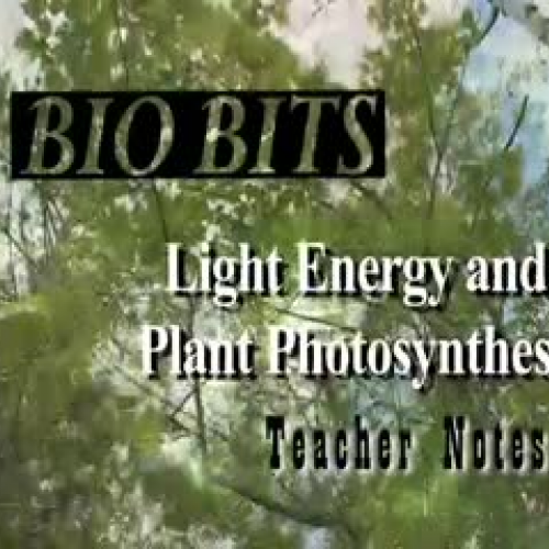 Light Energy and Plant Photosynthesis – TEACH