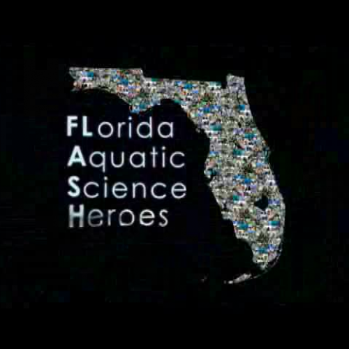 Science Questions and More Questions