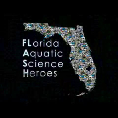 The Summer of Cyanobacteria and Scientists