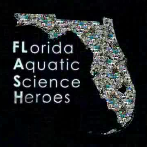 Using Creativity to Answer Scientific Questio