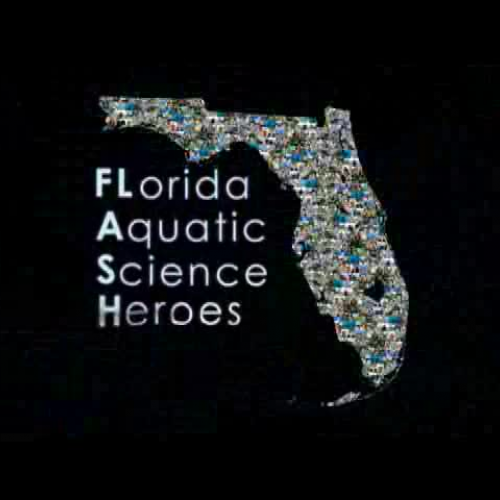 Why do scientists try to be objective?