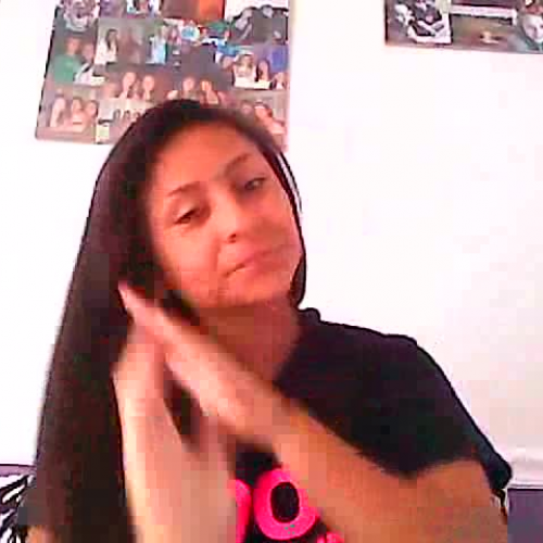 03.02 describe the family visual presentation