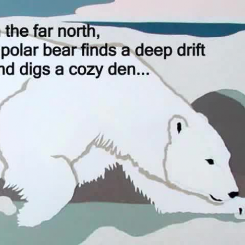 A Polar Bear's World