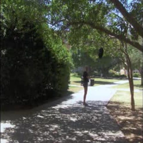 Animated Autoethnography