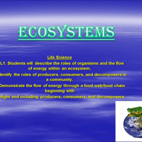 ecosystem