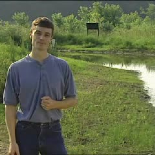 Wetland Sediments