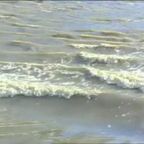 Effects of Flooding in a Wetland