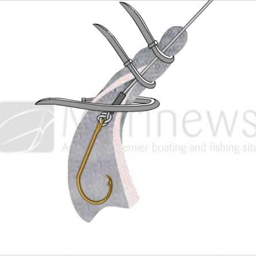 Rigging a strip bait with cable ties