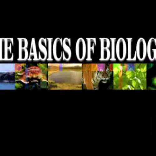 EDIT 202 Sample Video