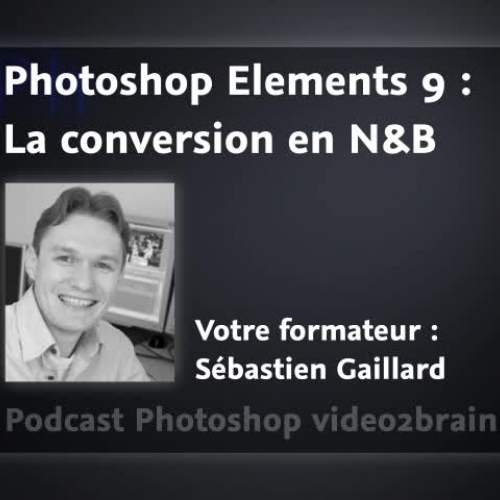 Adobe Photoshop Elements 9 : La conversion en