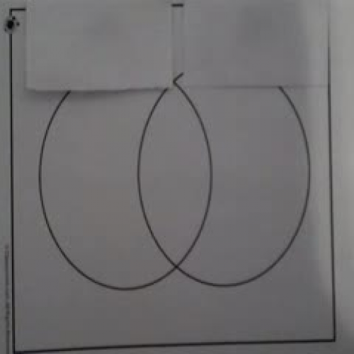 Alligators and Crocodiles