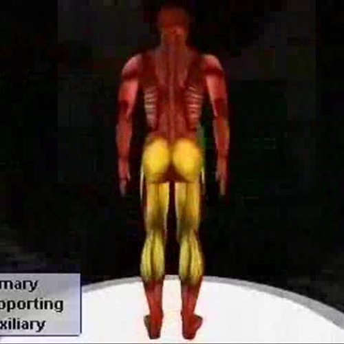 EDIT 202 Sample Video