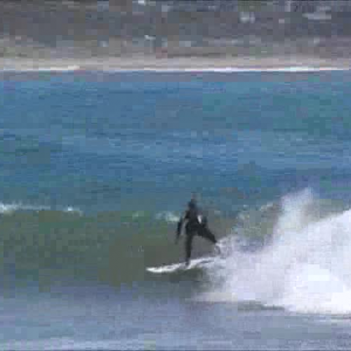 EDIT 202 Sample video